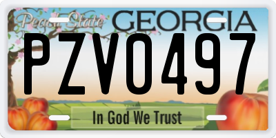 GA license plate PZV0497