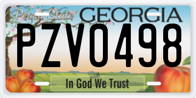 GA license plate PZV0498