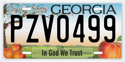 GA license plate PZV0499