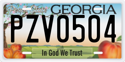 GA license plate PZV0504