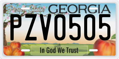 GA license plate PZV0505