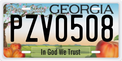 GA license plate PZV0508