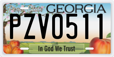 GA license plate PZV0511