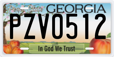 GA license plate PZV0512