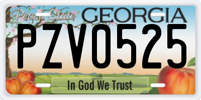 GA license plate PZV0525