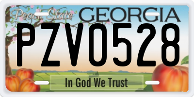 GA license plate PZV0528