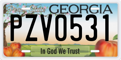 GA license plate PZV0531