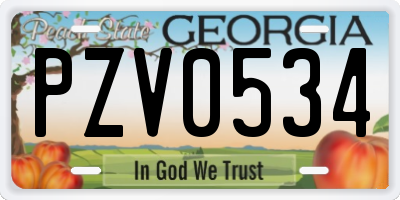 GA license plate PZV0534