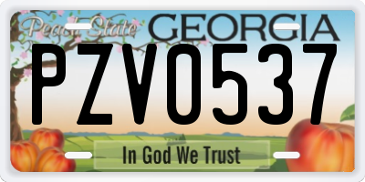 GA license plate PZV0537