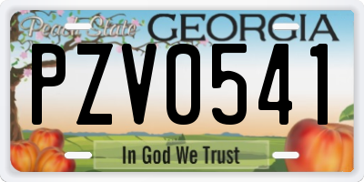 GA license plate PZV0541