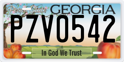 GA license plate PZV0542