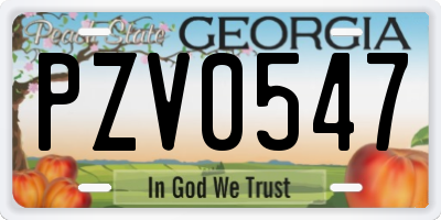 GA license plate PZV0547