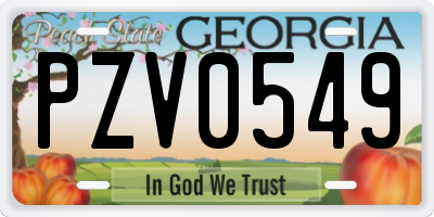 GA license plate PZV0549