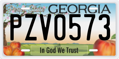 GA license plate PZV0573