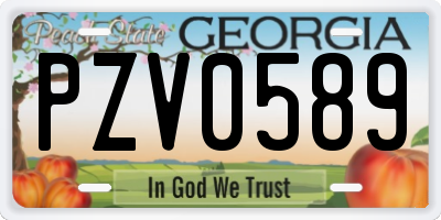 GA license plate PZV0589