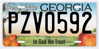 GA license plate PZV0592