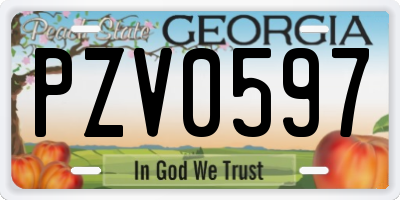 GA license plate PZV0597