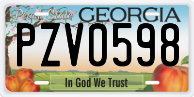 GA license plate PZV0598