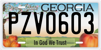 GA license plate PZV0603
