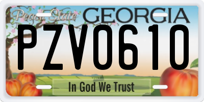 GA license plate PZV0610