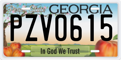GA license plate PZV0615