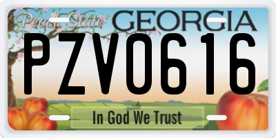GA license plate PZV0616