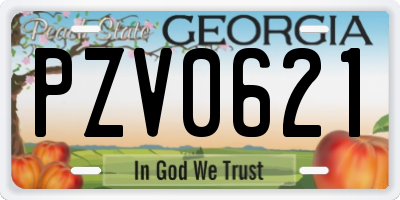 GA license plate PZV0621