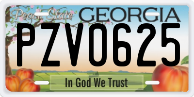 GA license plate PZV0625