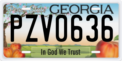 GA license plate PZV0636