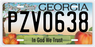 GA license plate PZV0638