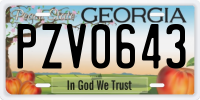GA license plate PZV0643