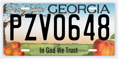 GA license plate PZV0648