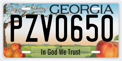GA license plate PZV0650