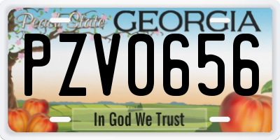 GA license plate PZV0656