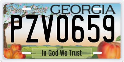 GA license plate PZV0659