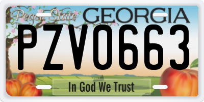 GA license plate PZV0663