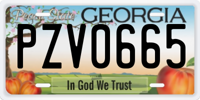 GA license plate PZV0665