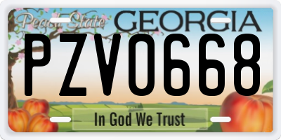 GA license plate PZV0668