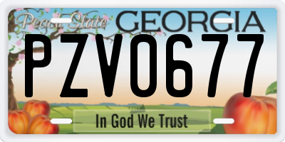GA license plate PZV0677