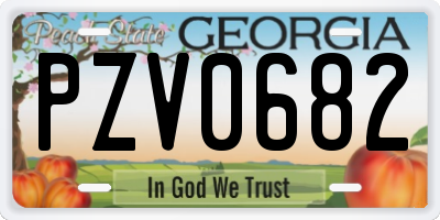 GA license plate PZV0682