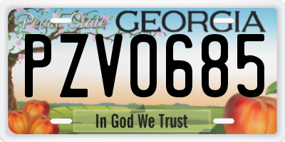 GA license plate PZV0685