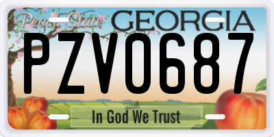 GA license plate PZV0687