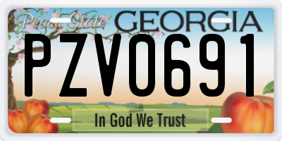 GA license plate PZV0691