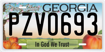 GA license plate PZV0693