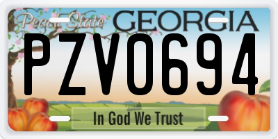 GA license plate PZV0694