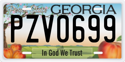 GA license plate PZV0699