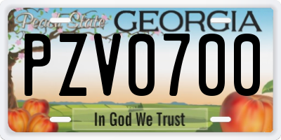 GA license plate PZV0700