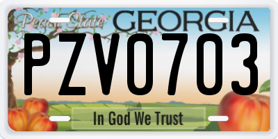 GA license plate PZV0703