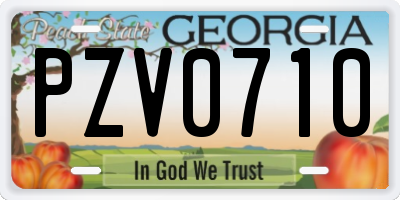GA license plate PZV0710