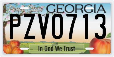 GA license plate PZV0713